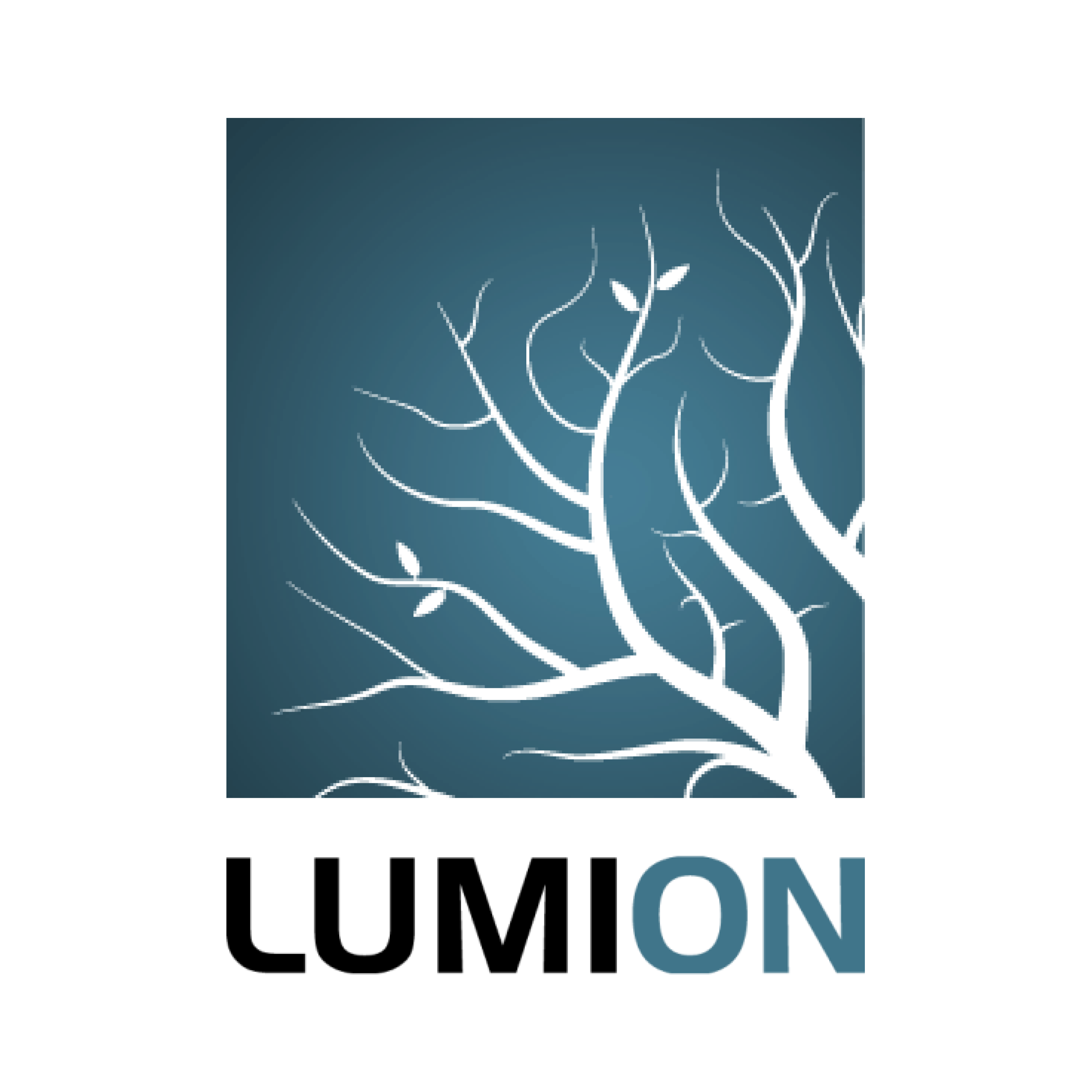 Lumion